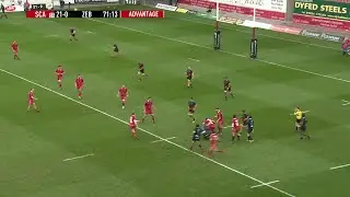 Scarlets v Zebre Try 4