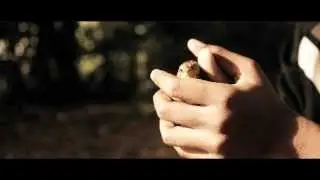 Setting you Free&reg; C o P i x f i l m s )