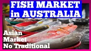 FISH MARKET IN AUSTRALIA // PASAR TRADISIONAL
