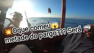 Pescaria Ubatuba com capit&atilde;o Fernando barco Gl&aacute;ucia Ten&oacute;rio, anchova,corvina,espada,pargo....