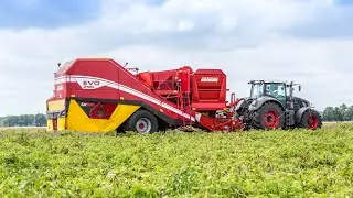 GRIMME EVO 290 AirSep | wie pure Magie