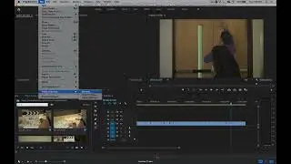 A low level exception occurred in: Adobe Player Player:60