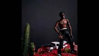 [FREE] TRAVIS SCOTT X RODEO TYPE BEAT - MYSTIQUE