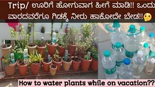 Self watering system for ur plants ವಾಟರ್ ಬಾಟಲ್ಸ್ uses |drip irrigation||watering plants on vacation