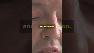 What Does DXM Do To Your Brain?