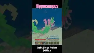 The Hippocampus #Minecraft