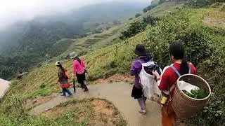 Sapa Trekking tour