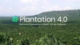 Plantation 4.0 - Tree Counts & Geoanalytics for Smart Oil Palm Plantations