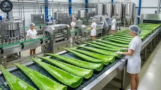 Inside the Factory: How Refreshing Aloe Vera Juice is Made (Full Process)