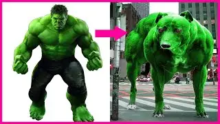 SUPERHEROES AS DOG | Siêu Anh Hùng Phiên Bản CHÚ CHÓ