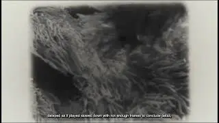 The Projectionist (2025). monochrome super 8 video and text with sound. 00.03.44.