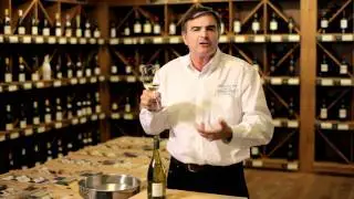 Adelaide Hills Chardonnay, Australian Wines - McGuigan Shortlist