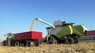 Styczniowe Koszenie Kukurydzy 2018!☆Claas Tucano 420 ☆Gospodarstwo Rolno-Usługowe Migdalski