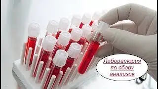 Лаборатория по сбору анализов  Бизнес идея