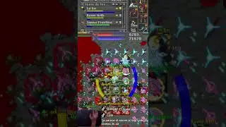 me fui directo templo #hunt #gamer #cipsoft #mmorpg #roblox #gamer #tibiahunt #faki24 #royalpaladin