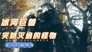 很少人知道的冰河时期怪物，树懒竟然和它是近亲，冰河巨兽大地懒  #动物世界 #自然传奇 #大自然 #動物 #動物故事 #野生動物 #動物反殺 #万物有光