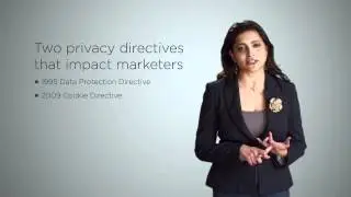 Data Privacy Protection Laws in the EU