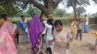 वार्षिक वर्ष गांठ के शुभ अवसर पर सभी ग्राम वासी  नाचते गाते सीताराम धुन।ग्राम:-बरेहंडा ।