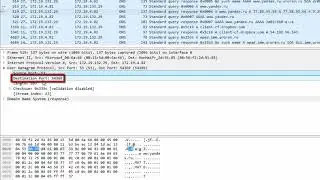 Протокол DNS в Wireshark
