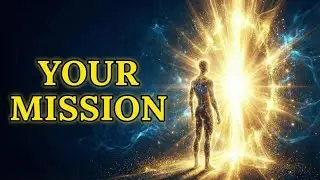 NOW THAT IT FOUND YOU: The Next Step (Urgent)