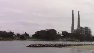 moss landing wildlife area 04 01 2019 1