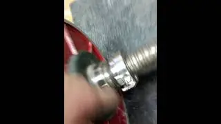VIDEO0031