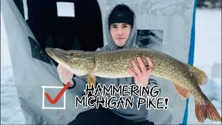 12 Northern Pike in 2 hours!! Northern Michigan Ice Fishing! 