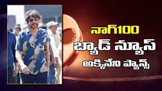 Nag100 Big Problem Akkineni Fans latest update #Nag100 breaking news akkineni nagarjuna mnrtelugu