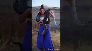 Snake Coils Around a Beautiful Girl - A Captivating Encounter #shorts  #优 #animals #wildlifedrama