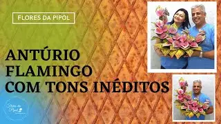 ANTÚRIO FLAMINGO E TONS INCRÍVEIS - FLORES DA PIPOL