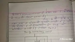 Ca++ Indipendent Homophilic cell Cell Adhesion Immunoglobulin Gene Family full notes in hindi msc
