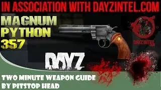Dayz Standalone Weapon Guide to the Magnum Python