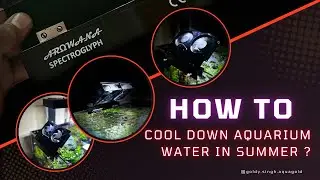 How to cool down Aquarium water temperature in summer?