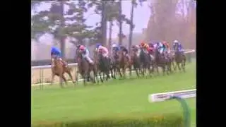 Prix de l'Arc de Triomphe 2008 - Zarkava