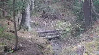 klimat na polsko-słowackiej granicy
