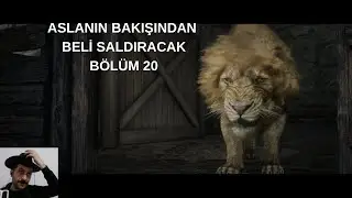 RDR 2) ASLAN KAPLAN VE ZEBRA AVINA &Ccedil;IKTIK SONUDA ASLAN SALDIRDI (B&Ouml;L&Uuml;M 20) Red Dead Redemption 2