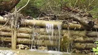 #Strumień #Aisgraben #Ascholding #Stream #Aisgraben #Ascholding