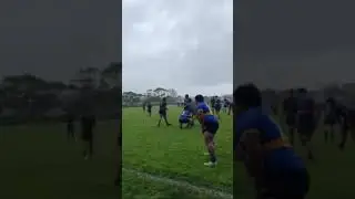 Avondale College 1st 15 Rugby