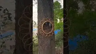 CaneTrend Rattan Cane Round Sunflower Gift Wall Mirror