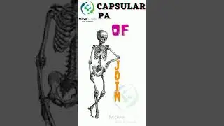 Capsular Pattern of Joints