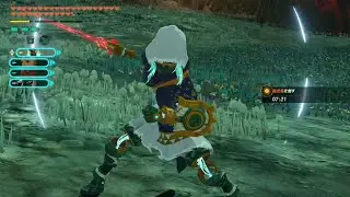 【ゼルダ無双封印戦記】色々なステージをやっていきます♪