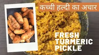 Fresh Turmeric Pickle Recipe हल्दी का अचार Kachi Haldi ka Achar @spicyscope