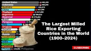 Top Rice Exporting Countries 🍚 (1900&ndash;2024) | Global Rice Trade Timeline