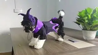 Holiday Pet Costume Fall Winter Dog Coat Christmas Pet Clothes Supplies #dogclothes #petsupplies