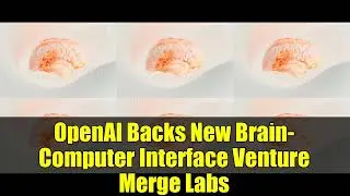 OpenAI Backs New Brain-Computer Interface Venture Merge Labs