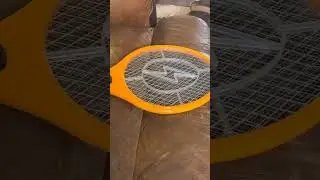 #satisfying  #slowmo #fly landing on the #electric #flyswatter #shorts so funny￼😂 #zap ⚡️