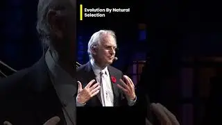 Evolution By Natural Selection - Richard Dawkins #richarddawkins #science #evolution #darwin