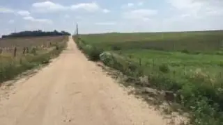 Prairie Birds