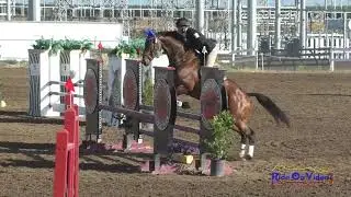067S Sarah Jane Nichols Jolley on Union Jack Open Training Show Jumping FCHP April 2021