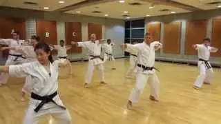 Naihanchi Kata and Motobu Drills